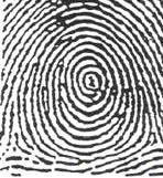 3 general fingerprint
