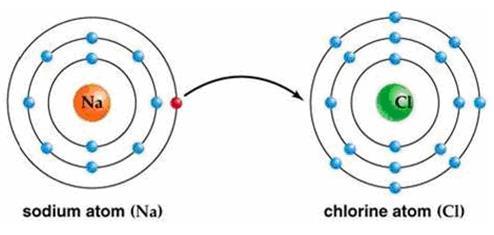Short Answer Questions 46. Use Bohr's model to draw a sodium (Na) atom and a chlorine (Cl) atom. Using your model, explain what happens when sodium reacts with chlorine to form table salt.