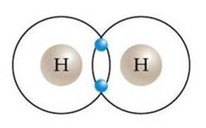 47. Draw two hydrogen atoms using Bohr's model. Now bond them to form a molecule of hydrogen gas. Write the molecular formula.