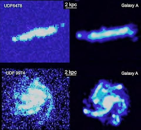 Cosmic feedback: black hole and galaxy co-evolution How much black hole accretion occurs in the most obscured environments?