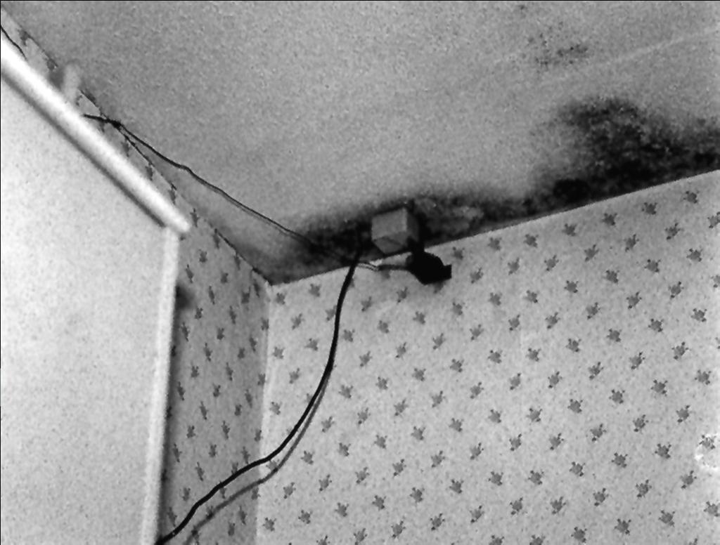 Flow-path: moisture Dampness and mould growth are major problems affecting a significant proportion of houses.