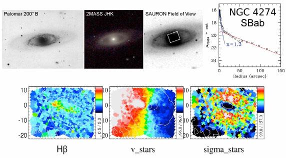 not all compact stellar components in galaxies are bulges, some