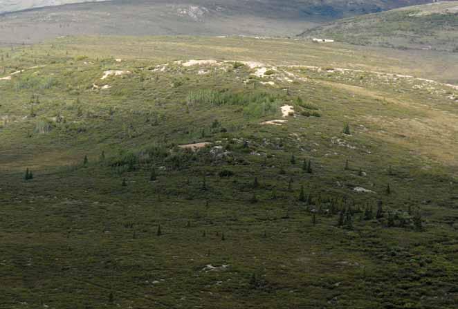 Prehistoric Hunter-Gatherers in the Savage River Uplands, Denali National Park and Preserve Figure 3. Typical elevated landform in the upper Savage basin covered in our survey.