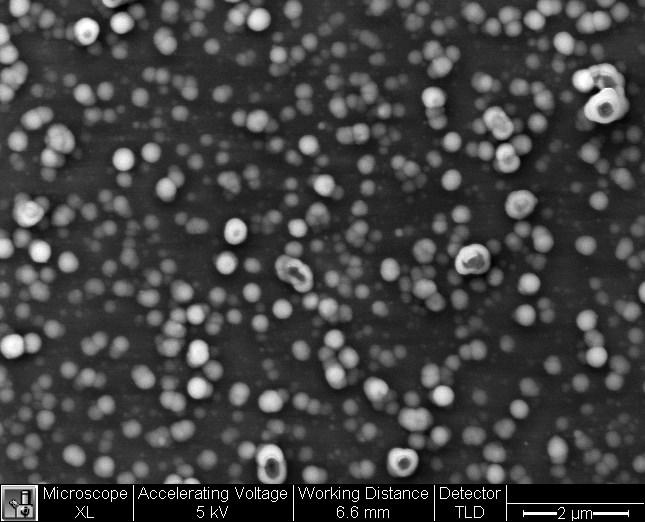 2.2 Equipment 12 Figure 2.4 SEM image of an SiO 2 thin film.