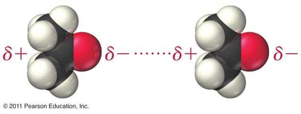 Dipole-Dipole Forces Attraction between permanent dipoles Exist in all polar molecules Polar molecules have