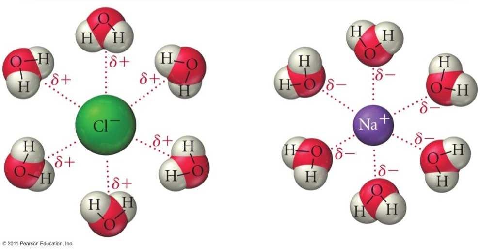 Ion-Dipole Force Attractive forces between ions and polar molecules Present in a mixture of an ionic compound and
