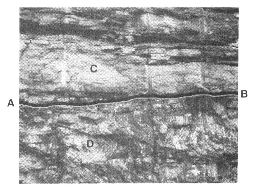 38. Base your answer to the following question on the photograph below, which shows a bedrock outcrop. Line AB is an unconformity between sandstone C and metamorphic rock D.