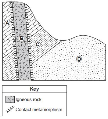 33. The depositional environment dming the time these layers and fossils were deposited 1 was consistently marine 2 was consistently terrestrial (land) 3 changed from marine to terrestrial (land) 4