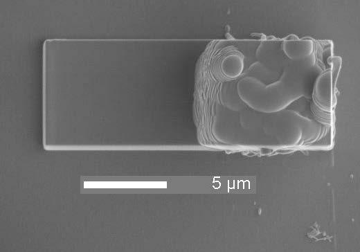 Carbon Nanotubes contact holes (CH) I(U) Tungsten-contact CNT-array 5µm x 5µm SiO 2 Si-wafer GaIn-back-contact current [ ma ] 1.5 1.0 0.5 0.0-0.5 Top-view of the FIB-deposited -1.