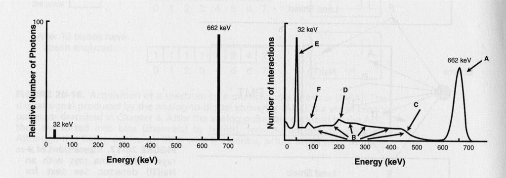 Sample Spectrum (Cs-137) Detection efficiency (32 kev vs. 662 kev) A. Photopeak B. Compton continuum C. Compton edge D.