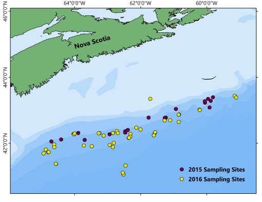 Scotian Slope Piston Coring >60 sites sampled 1750 to 3450 m water depth 0 to 10 mbsf sediment depth Geochemical analyses (APT) Organic