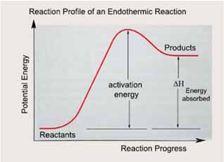 Dynamic Equilibrium Hebden Unit (page 37 69) Let s take a look at the reaction profiles of endothermic and exothermic reactions.