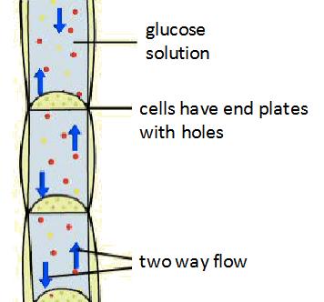 Cell structure QuestionIT