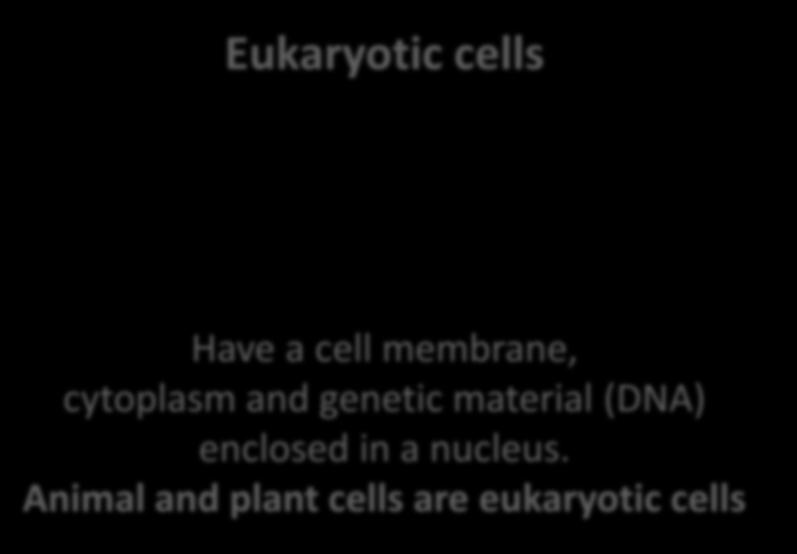 Cell structure part 1 - Eukaryotes and prokaryotes All living things