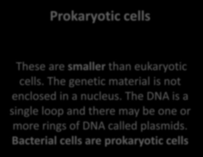 Eukaryotic cells Prokaryotic cells Have a cell membrane, cytoplasm