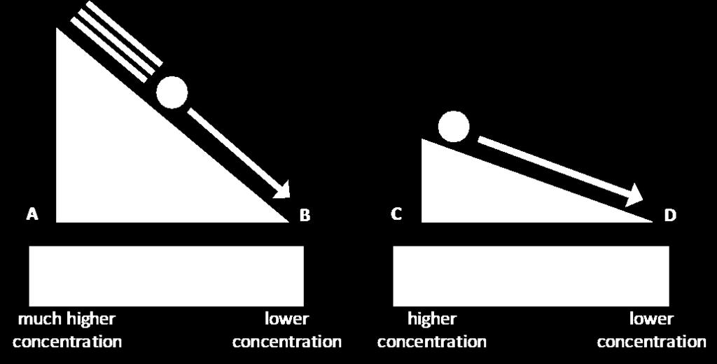 Particles will move down the concentration gradient from high to low.