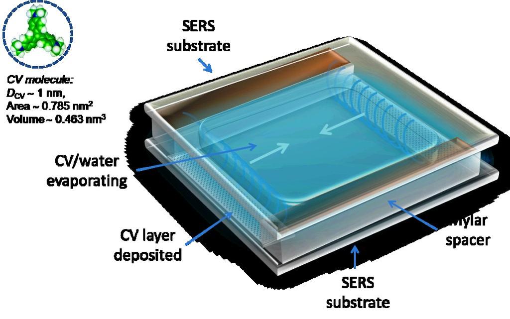 Figure 4.3. A cartoon representing the monolayer of CV molecules deposited onto the inner surfaces of the sandwiched SERS substrates distanced by suitable spacers.