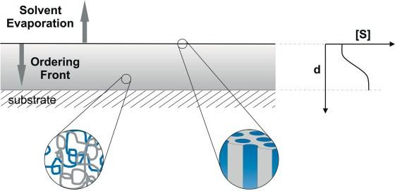 Figure 1.9. Schematic of the solvent evaporation in a diblock copolymer thin film.