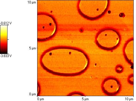These preliminary tests were conducted in air at 170 C for 24 hours, but the resulting samples show a morphological deterioration as evaluated by AFM analysis (Figure 3.5)