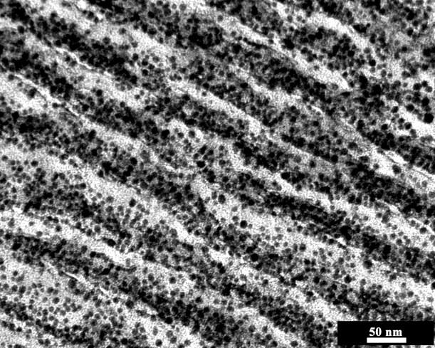 110 V/µm (d). The inset is a close-up of image. 40 35 30 25 20 15 10 5 0 24 25 26 27 28 29 30 Size of PS lamellae (nm) Figure 3.23.