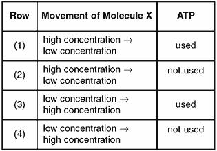 25. Which row in the chart below best describes the active transport of molecule X through a cell membrane? 27. The diagram below represents a cell in water.