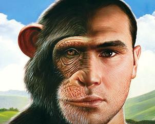 He noticed similarities between humans and apes suggesting