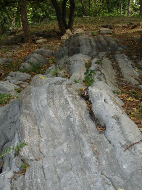 Inwood Marble outcrop, Isham Park, image courtesy of http://www.newyorknature.