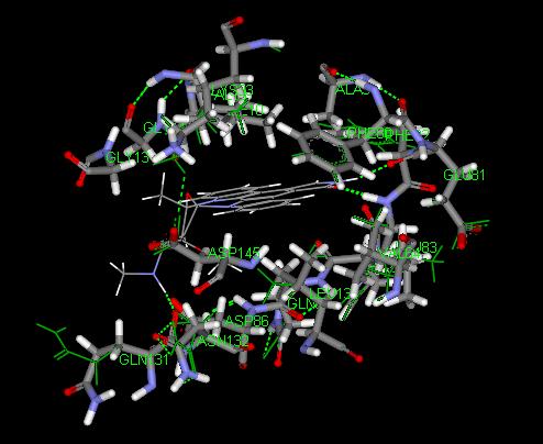 Side Chain Conformations in HUMAN CDK 2 CMPLEXED WITH THE INHIBITR STAURSPRINE -ChiRotor without the ligand 1aq1 ILE10 0.0651 VAL18 0.2585 LYS33 0.519 VAL64 0.