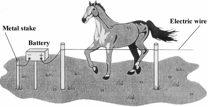 22. (a) The diagram shows an electric fence, designed to keep horses in a field.