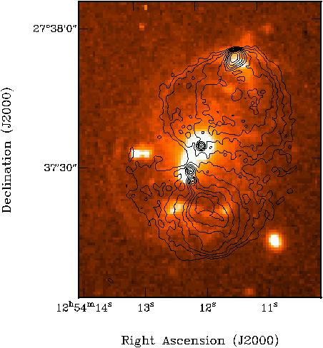 HI-rich (> 10 10 M sun of HI ) large (> 100 kpc) disks only in compact radio galaxies: why?