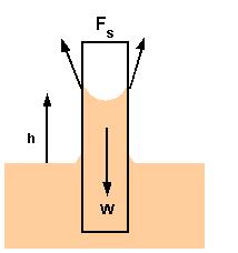 Four steps necessary to solve Fluid Mechanics problems 1.