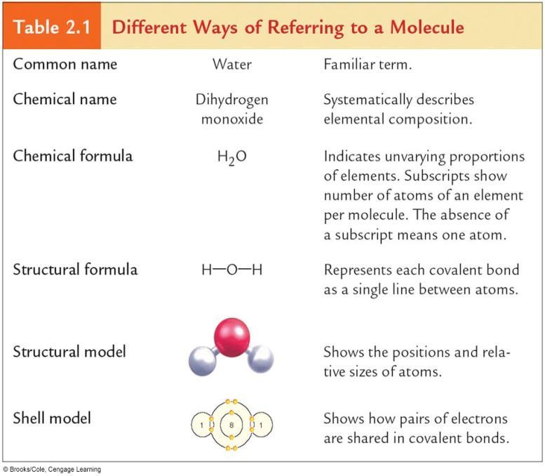Atoms combine via bonding to make molecules.