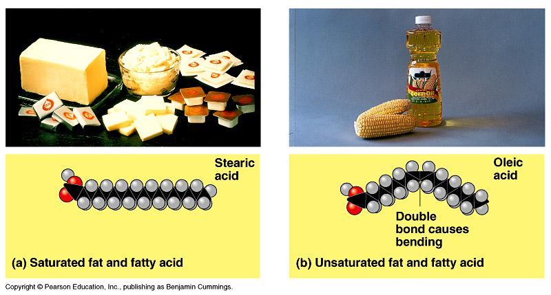 Structure: Glycerol + fatty acids 4 Types:
