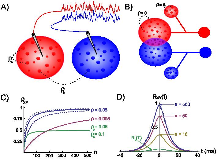 9.2. POOLING AMPLIFIES CORRELATIONS Figure 9.1: Pooling amplifies correlations. A) Two electrodes record from nonoverlapping populations.