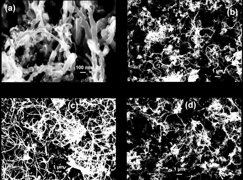 Figure 6: FESEM micrographs of as-prepared MWNTs synthesized at