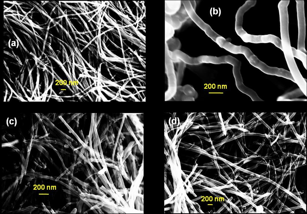 Figure 10: FESEM images of pure multi-walled CNTs prepared at