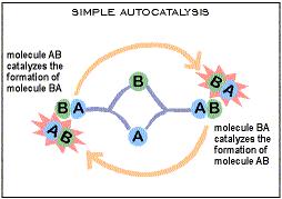 Autocatalytic Sets A collection of molecules which catalyze each others reactions Help