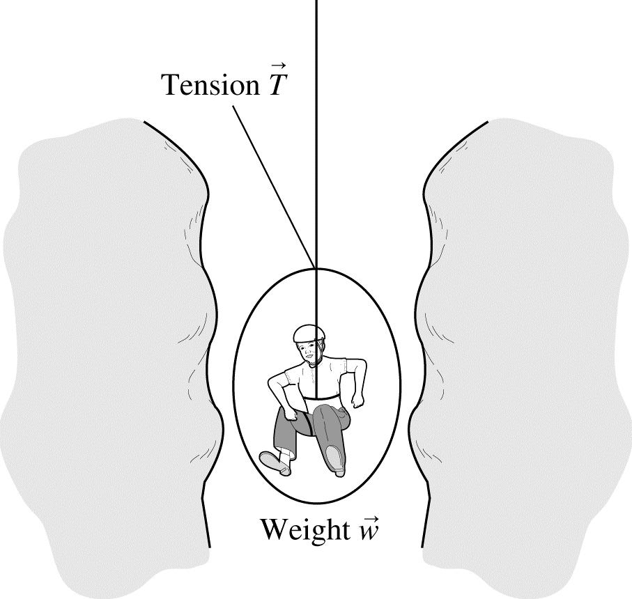4.2. Visualize: Assess: Note that the climber does not touch the