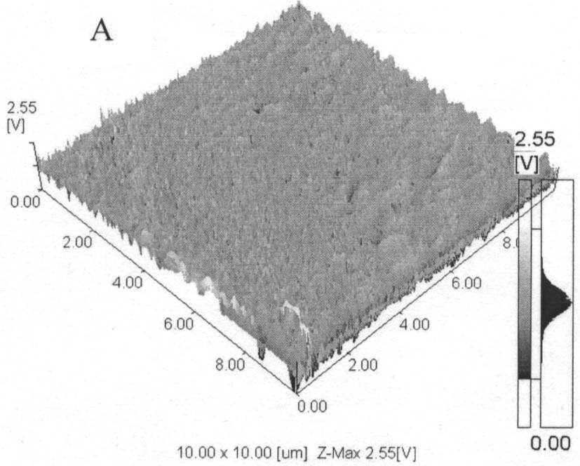 Nanostructured copper particles Figure 1. Tapping mode of 3D AFM images of ITO/Nf (A) and ITO/Nf/Cu nano (B) electrode surfaces.