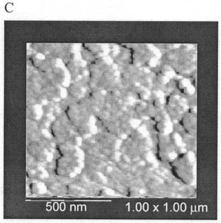 0 µm) of ITO/Nf/Cu nano electrode, (D) 2D AFM image (2.0 µm 2.