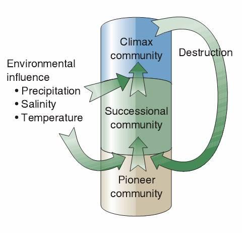 Environmental Science A Study of Interrelationships Cui Jiansheng Hebei