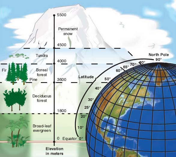 Climate and Vegetation Relationship Between