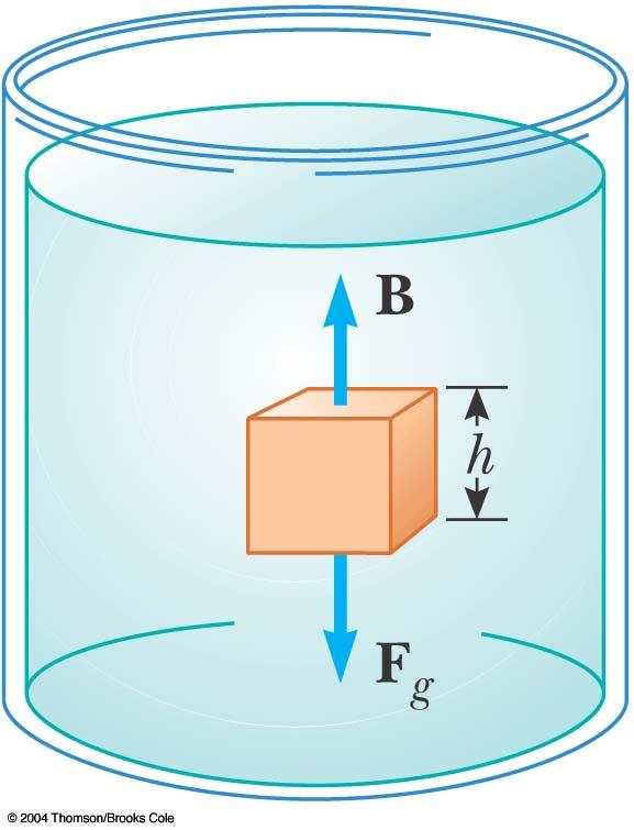 Buoyancy and Archimedes's Principle q All object immersed in fluid is subject to an buoyant force (B) exerted by the