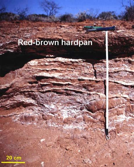 Red brown hardpans Hard indurated material mostly