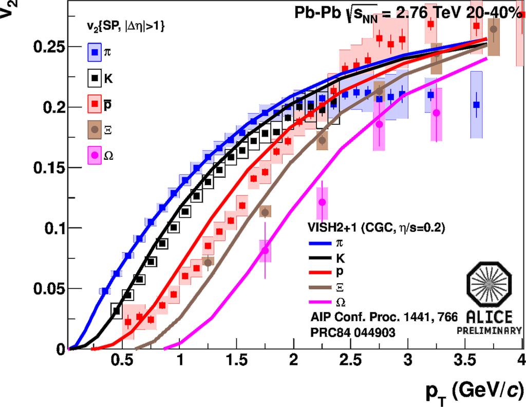 Particle type dependence of v 2 Differential flow shows