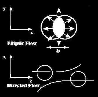 Elleptic flow (v 2 )