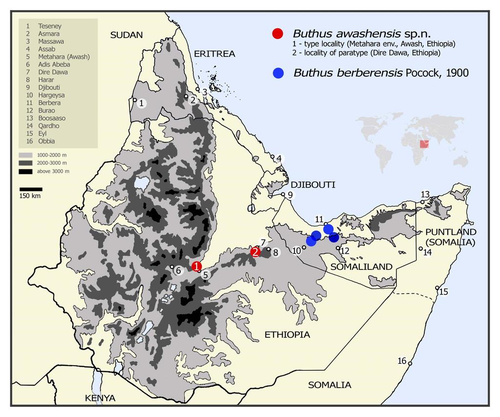 Kovařík: New Buthus from Ethiopia 5 Figure 23: Map of distributions of Buthus awashensis sp. n.