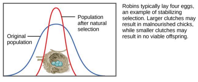 Stabilizing Selection Individuals with the
