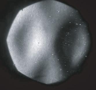 296 The European Physical Journal Applied Physics Fig. 3. (a) Microscopic image of the CR-39 detector that was in contact with the Pd film deposited on a Ni screen.