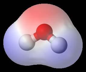 H 2 O - Water A water molecule, a commonly-used